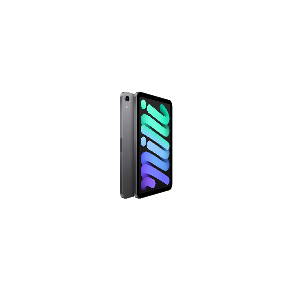 Apple iPad mini